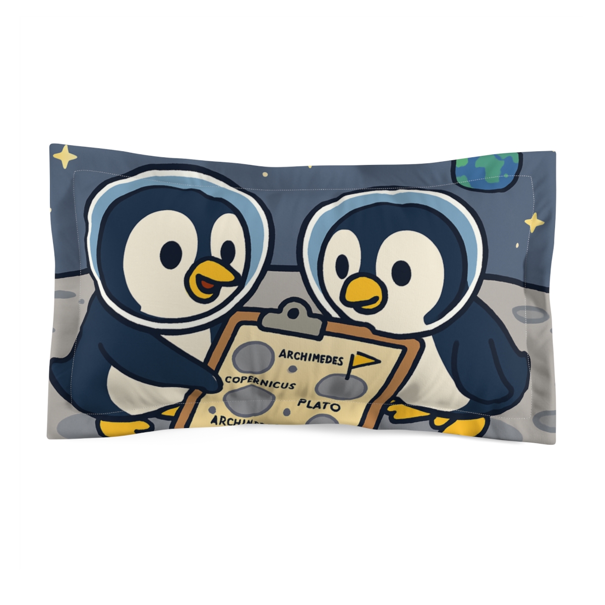 Moon Crater Map Makers unique shape pillows