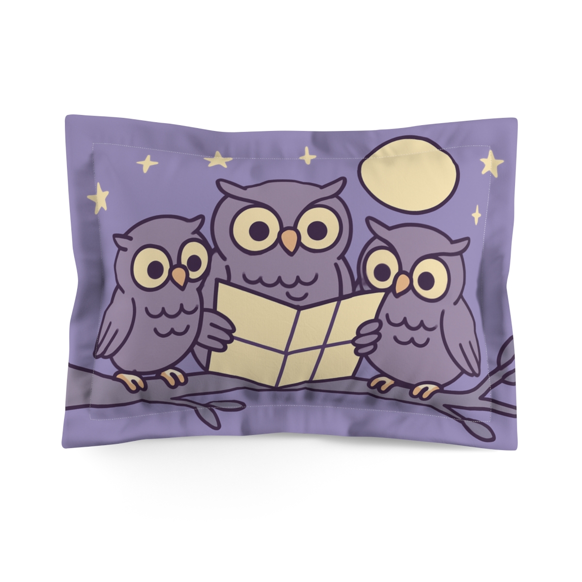 Moonlight Learning Owls gift pillows for home
