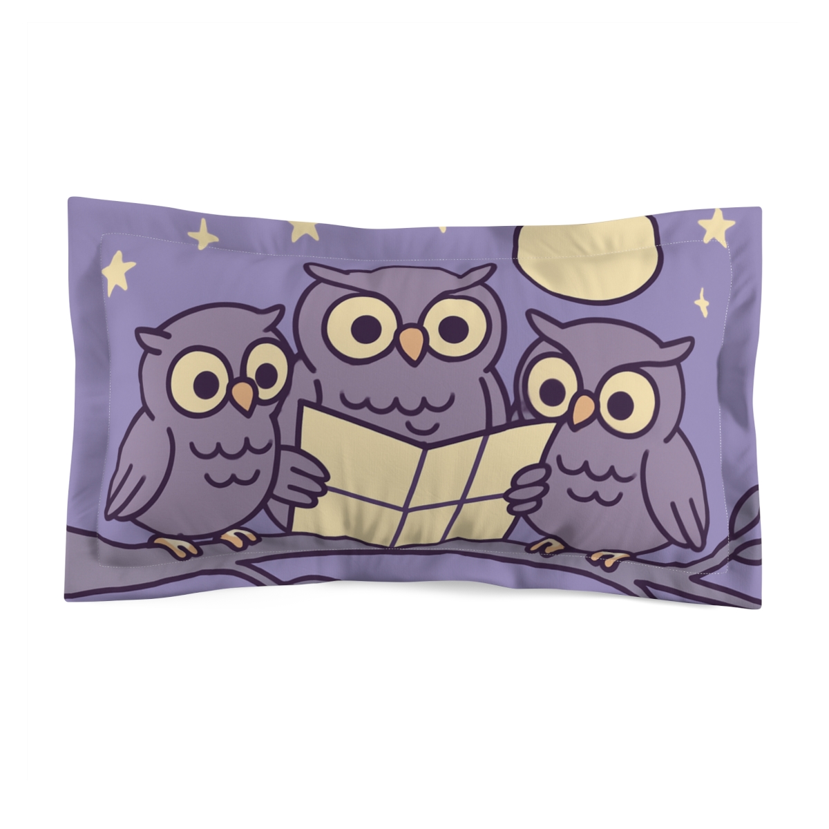 Moonlight Learning Owls gift pillows for home