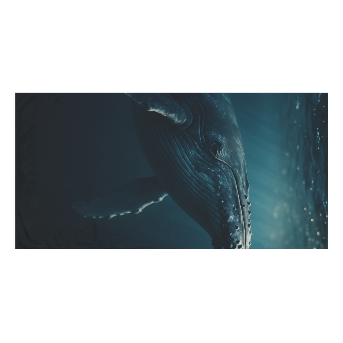 Moonlit Chorus Humpback Whale unique gift towels