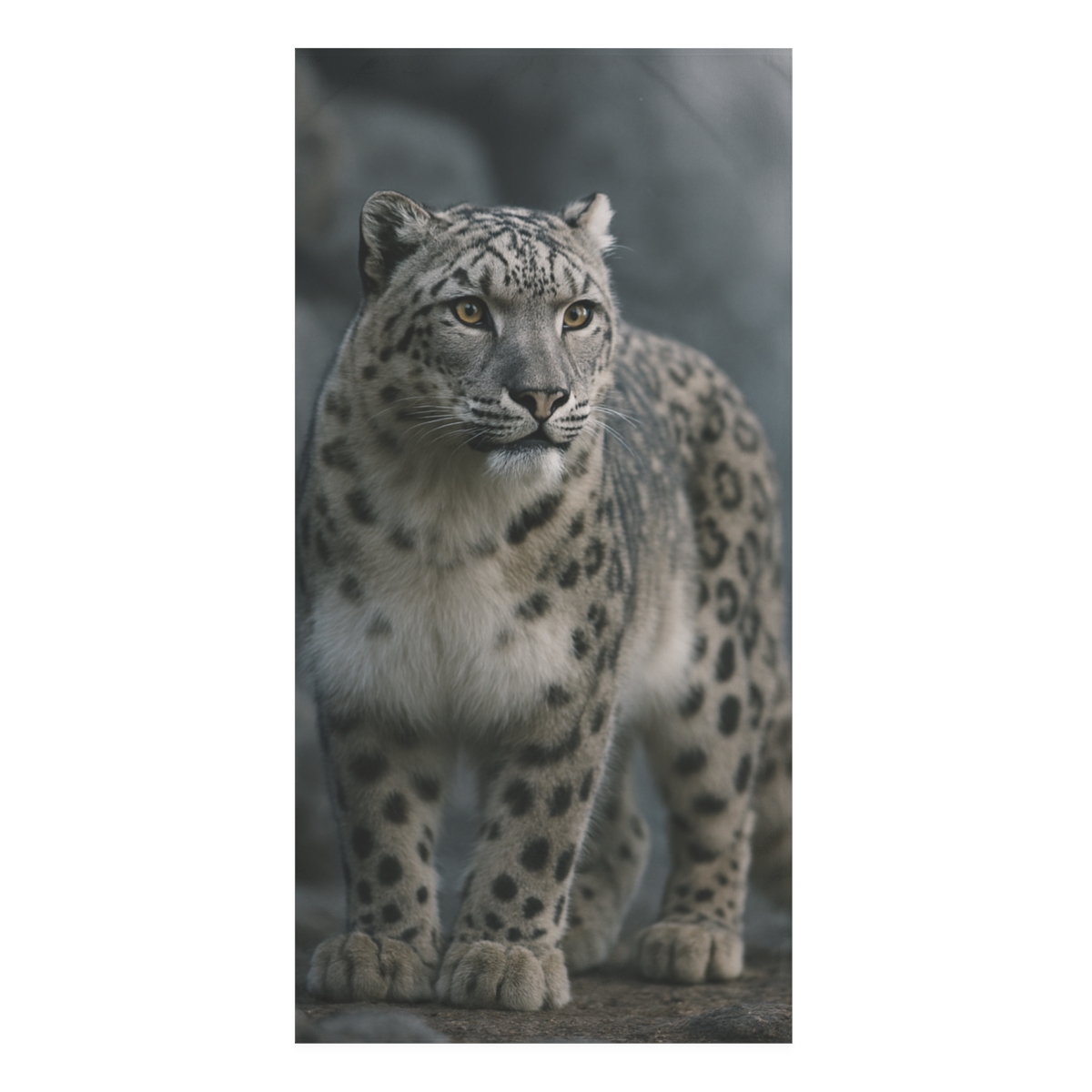 Moonlit Ghost Snow Leopard trendy hand towels