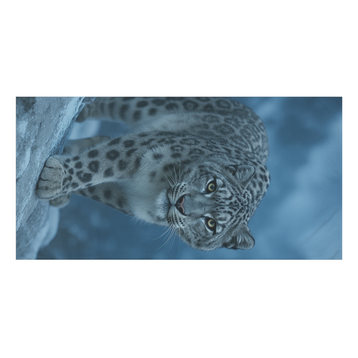Moonlit Mirage Snow Leopard comfortable face towels