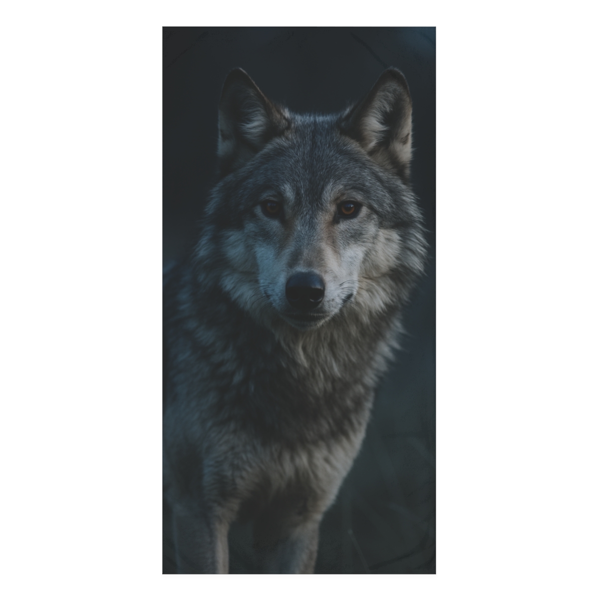 Moonlit Scout Gray Wolf decorative home towels