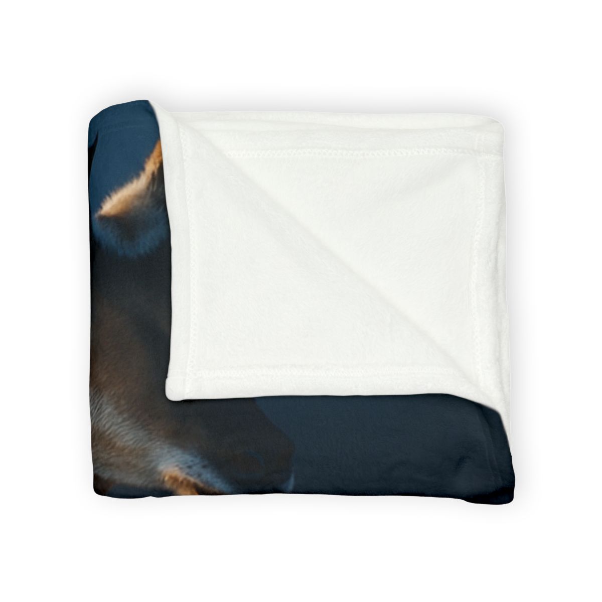 Moonlit Stride Pronghorn trendy patterned blankets