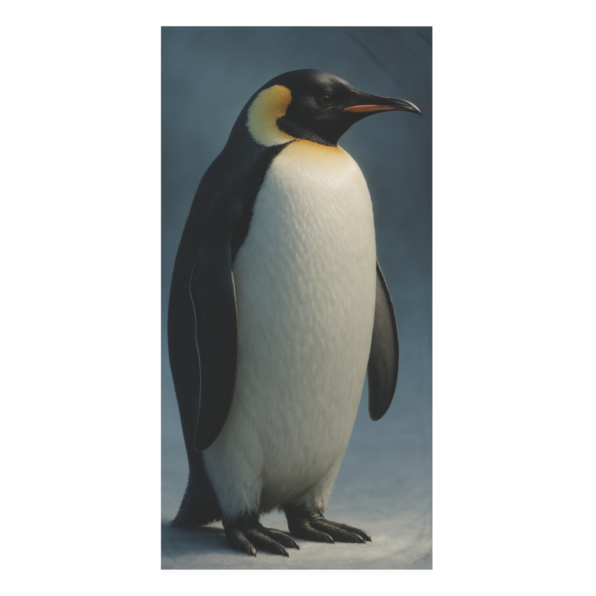 Moonlit Vigil Emperor Penguin designer printed towels
