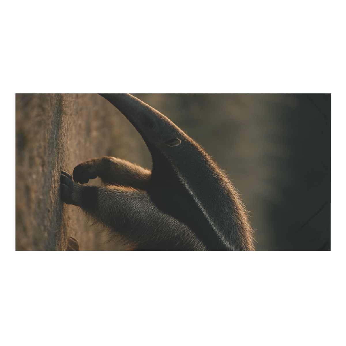 Moonlit Wanderer Giant Anteater personalized bath towels