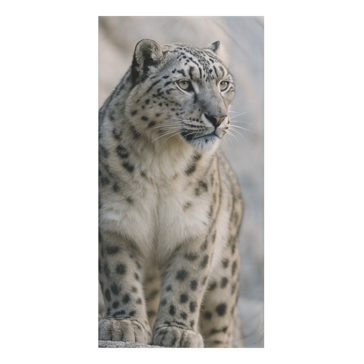 Mountain Ghost Snow Leopard stylish beach towels
