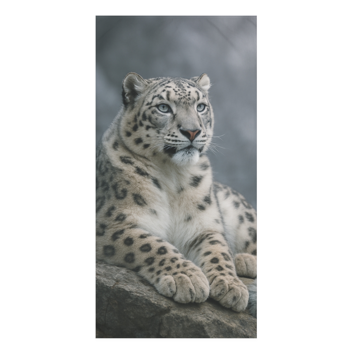 Nebula Gaze Snow Leopard stylish beach towels