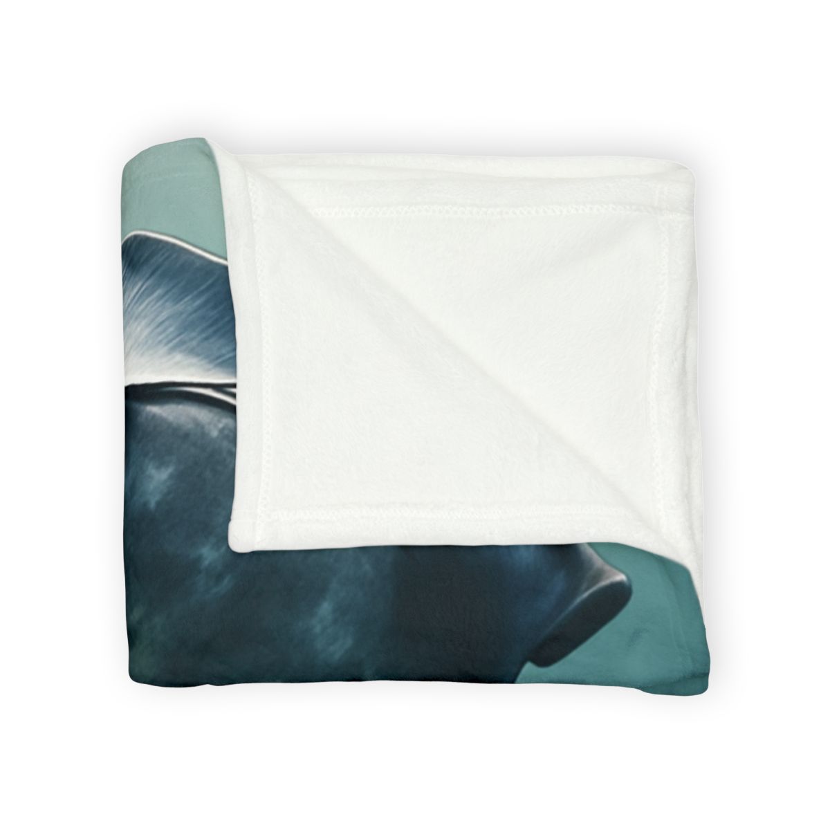Nebula Glide Giant Manta Ray warm winter blankets