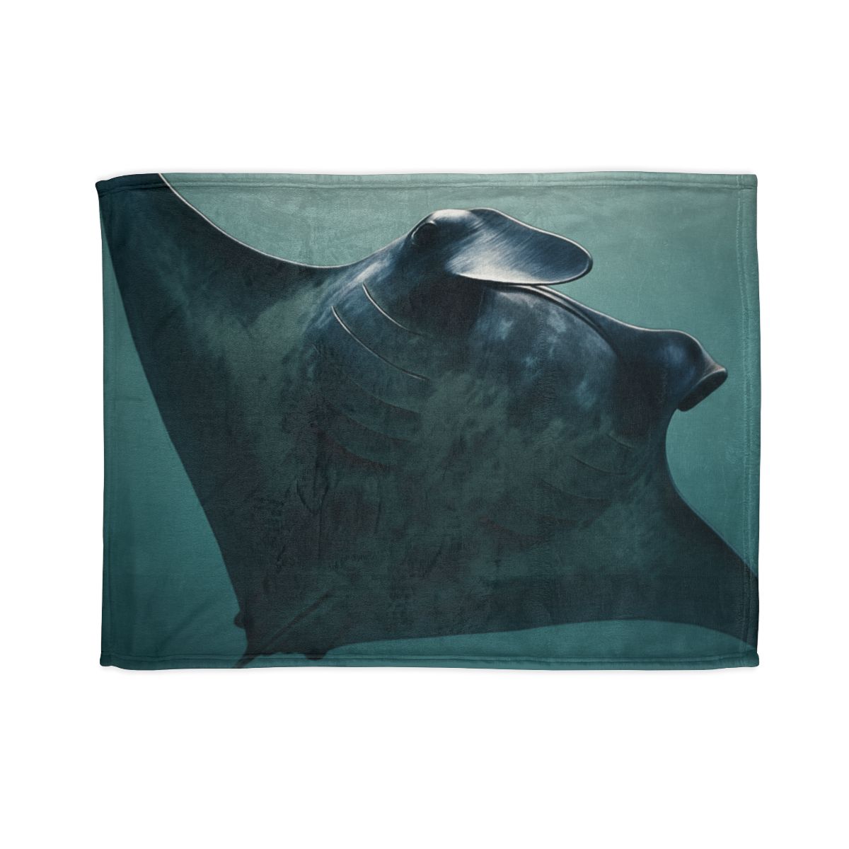 Nebula Glide Giant Manta Ray warm winter blankets