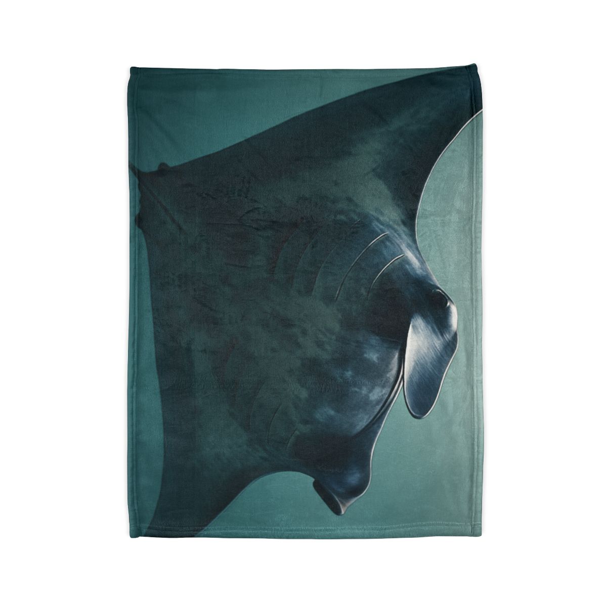 Nebula Glide Giant Manta Ray warm winter blankets