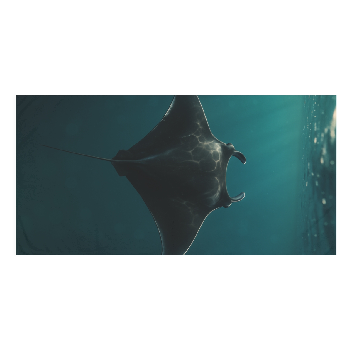 Nebula Glide Manta Ray decorative home towels