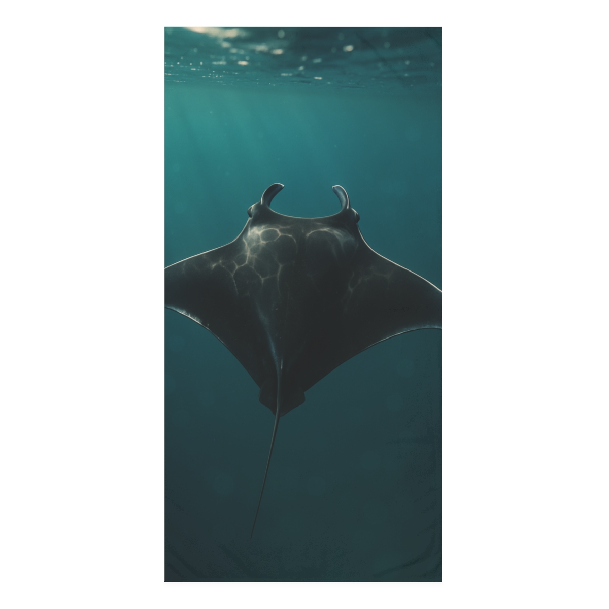 Nebula Glide Manta Ray decorative home towels