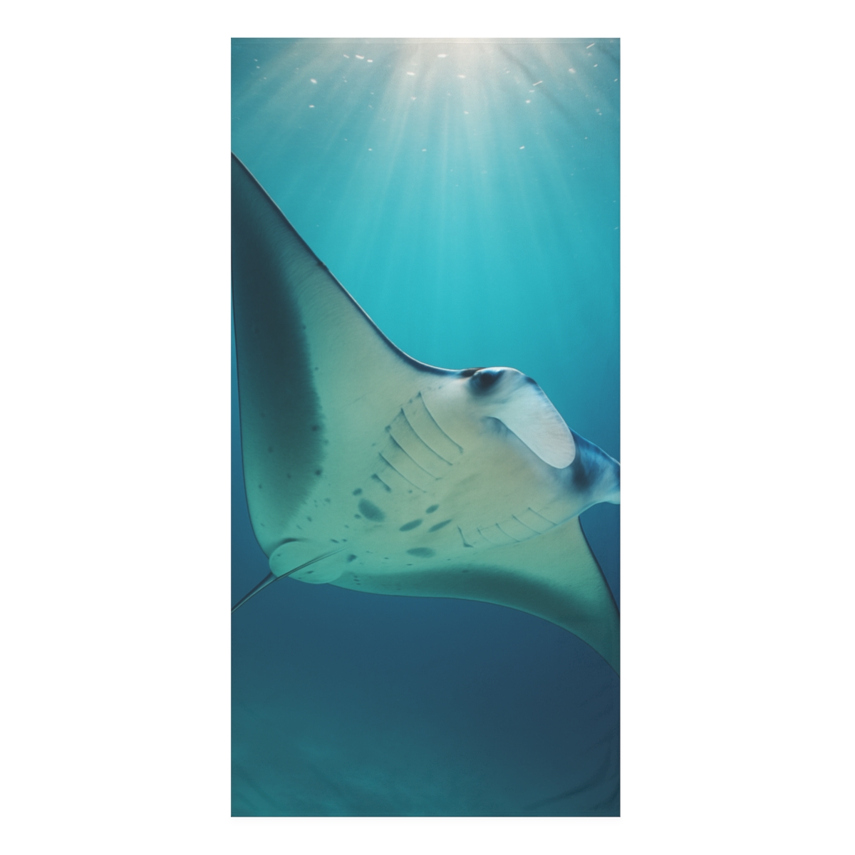 Nebula Glide Manta Ray personalized bath towels