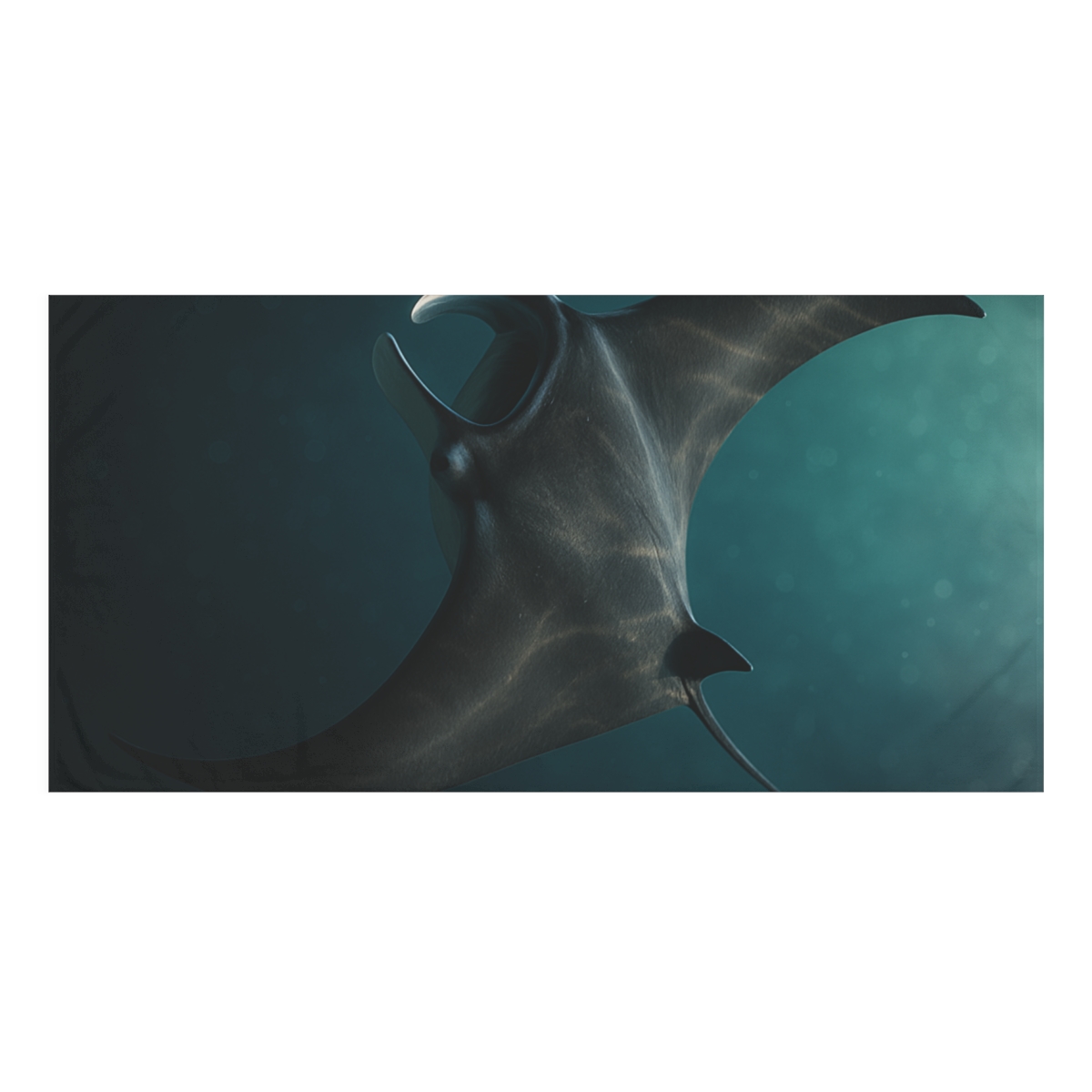 Nebula Glide Manta Ray comfortable face towels