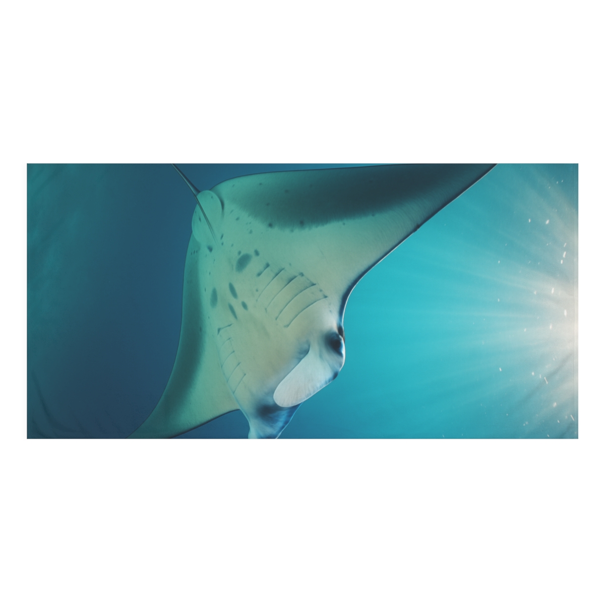 Nebula Glide Manta Ray personalized bath towels