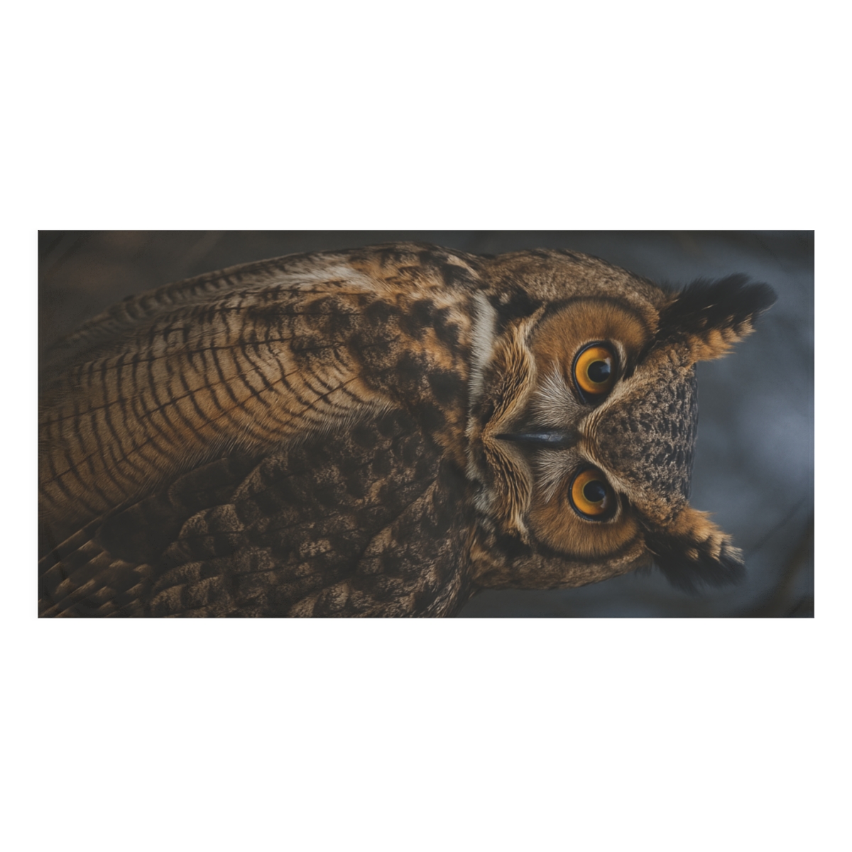 Nebula Hush Great Horned Owl personalized bath towels