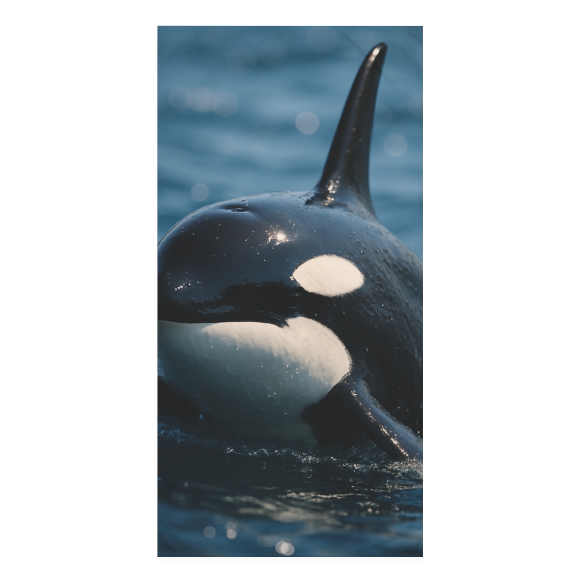 Ocean Shadow Orca personalized bath towels