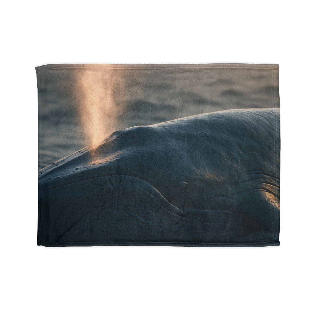 Ocean Song Blue Whale unique gift blankets