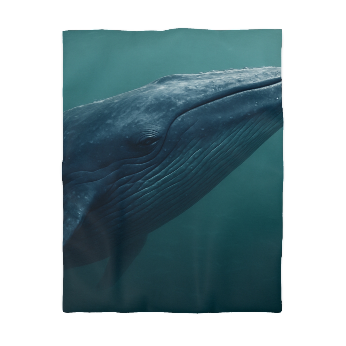 Ocean Song Blue Whale trendy bedroom duvets