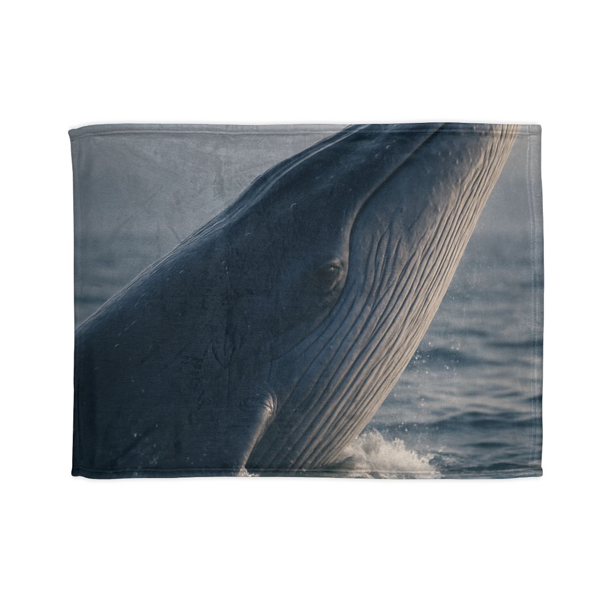 Ocean Song Blue Whale trendy patterned blankets