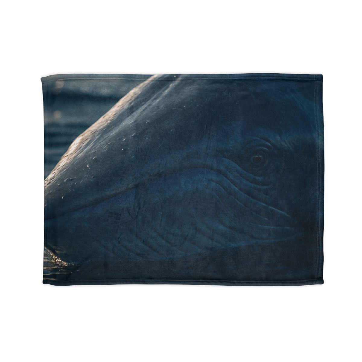 Ocean Song Blue Whale designer printed blankets