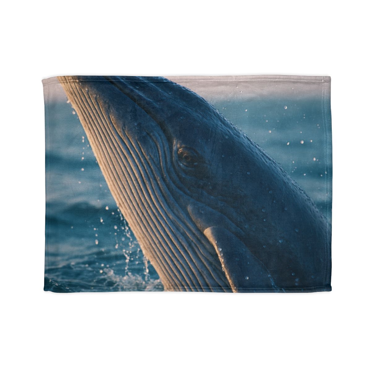 Ocean Song Blue Whale stylish throw blankets