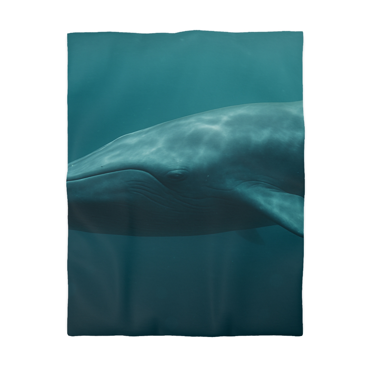 Ocean Song Blue Whale stylish duvet covers