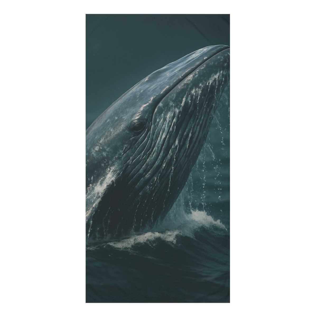 Ocean Song Blue Whale unique gift towels