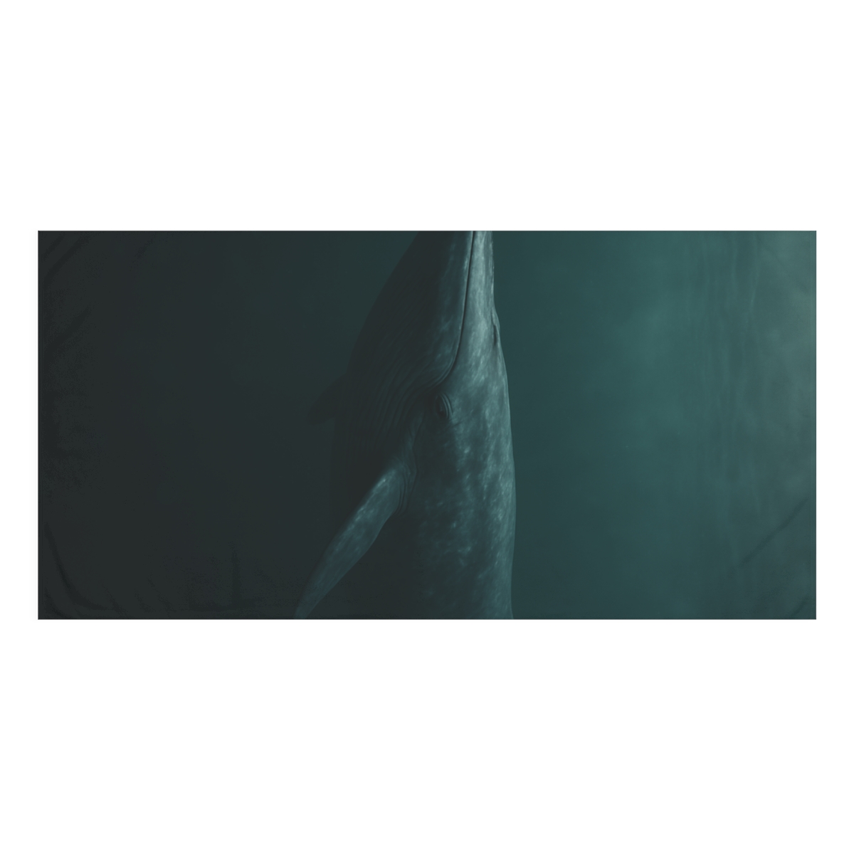 Ocean Song Blue Whale soft cotton towels