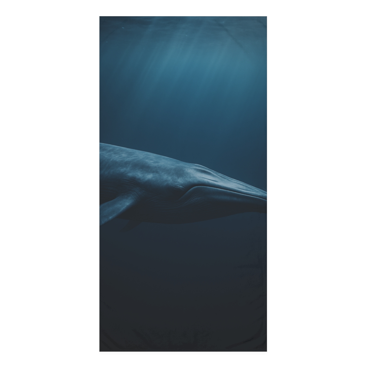 Ocean Song Blue Whale decorative home towels