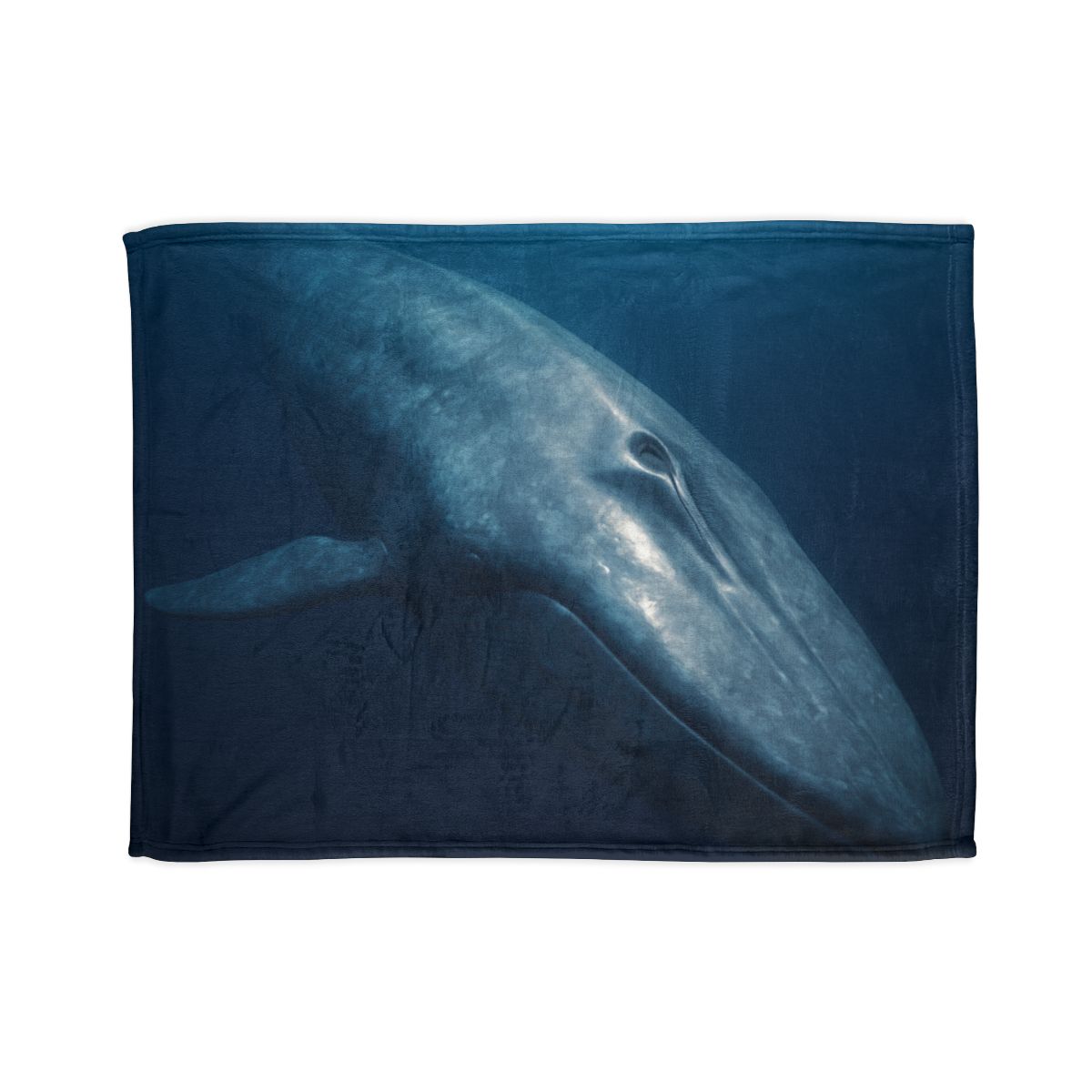 Ocean Song Blue Whale trendy patterned blankets