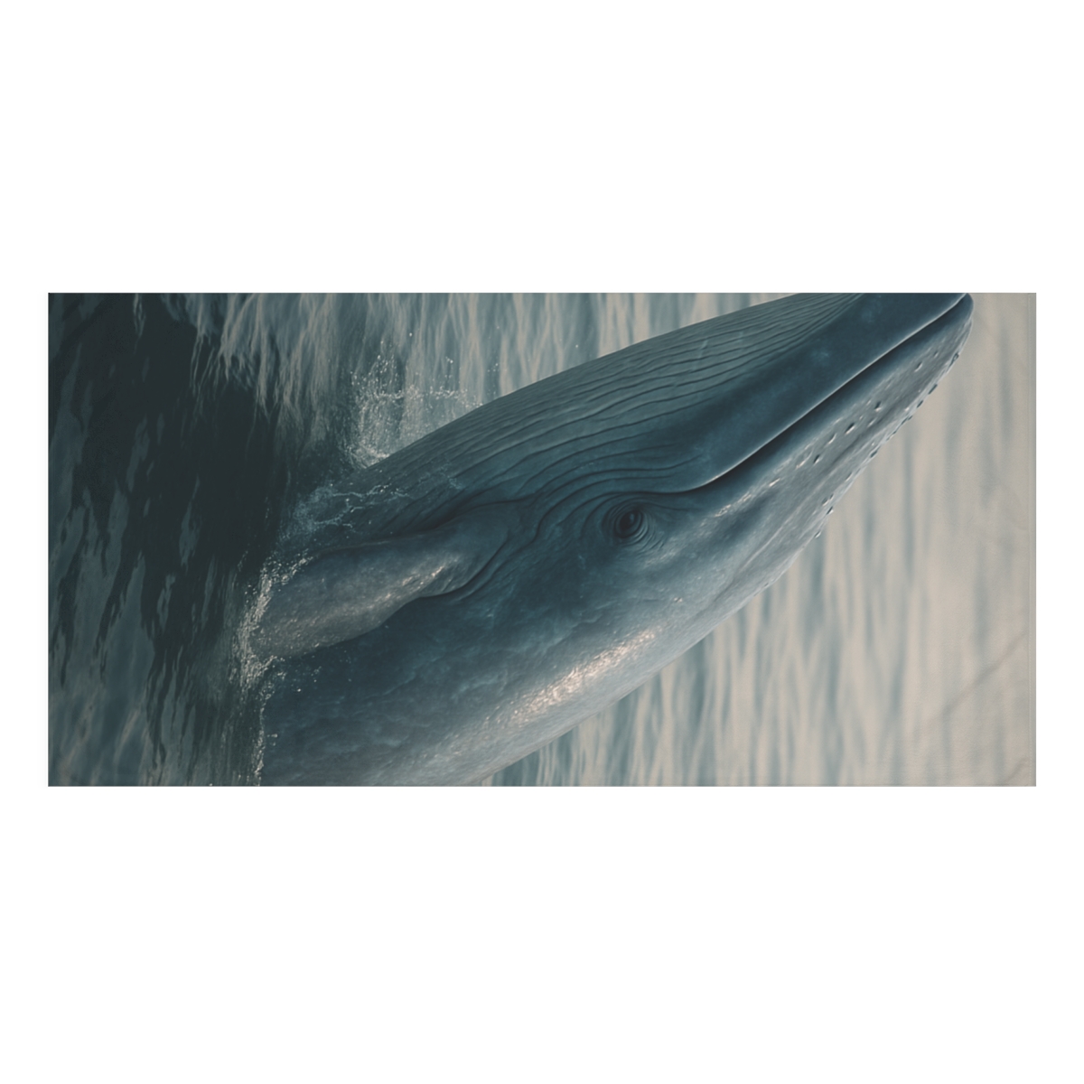 Ocean Song Blue Whale personalized bath towels