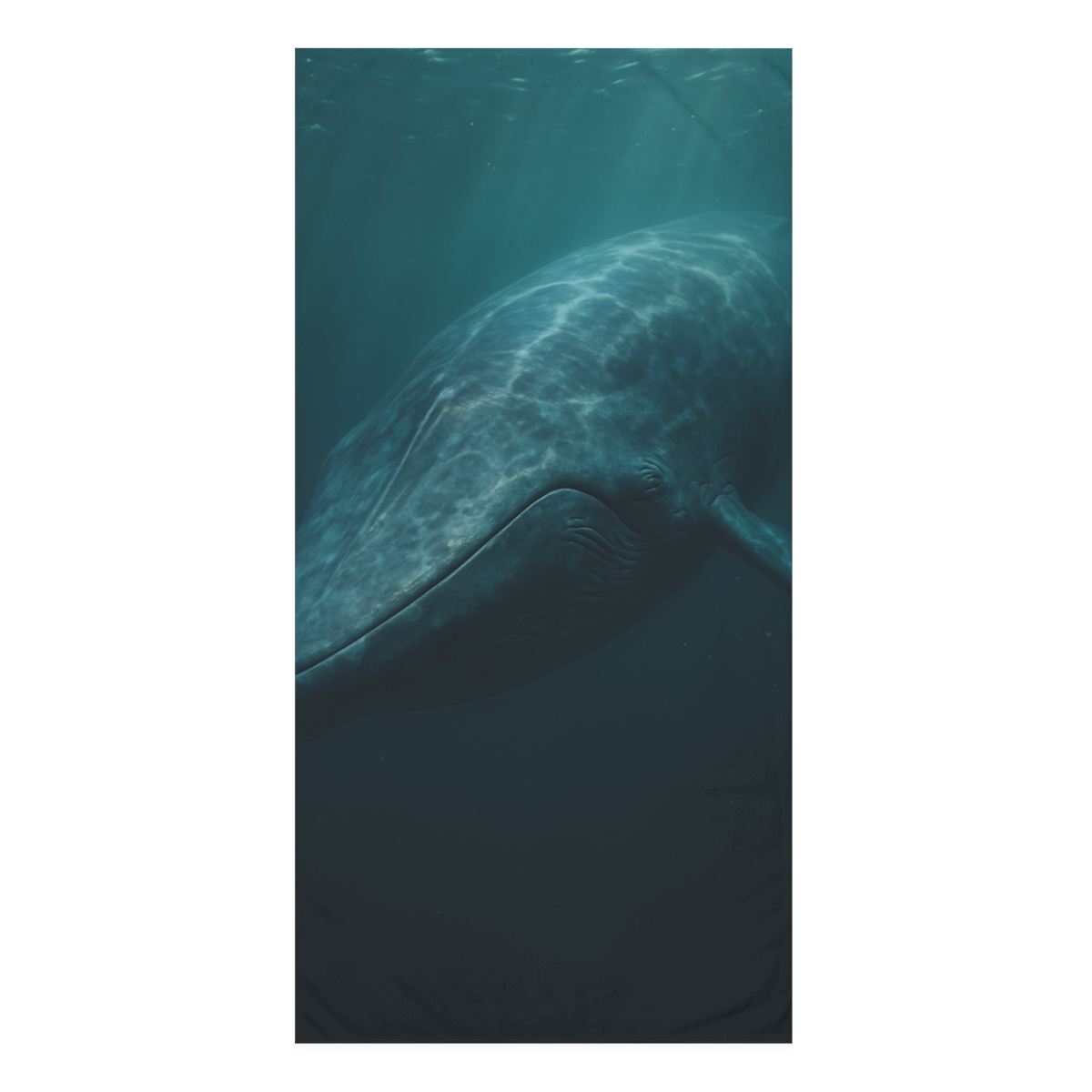 Ocean Song Blue Whale soft cotton towels