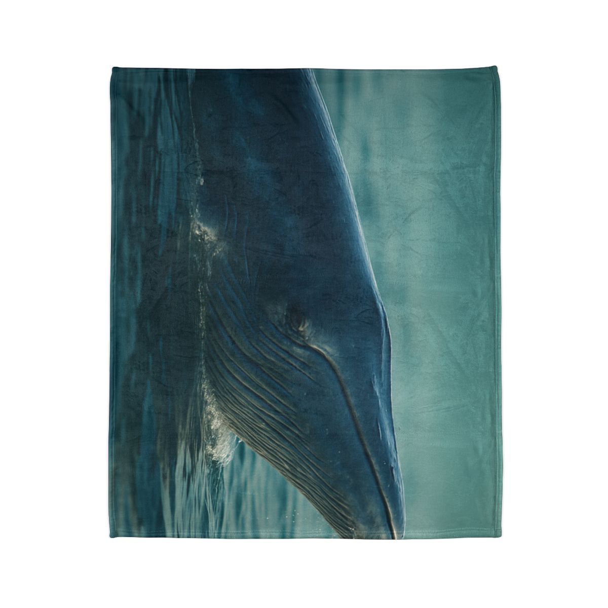 Ocean Song Blue Whale stylish throw blankets