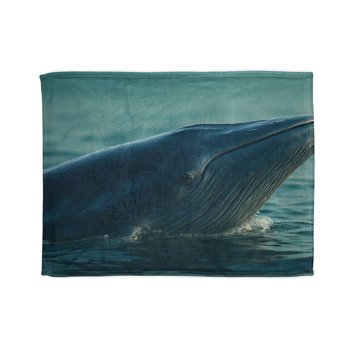 Ocean Song Blue Whale stylish throw blankets