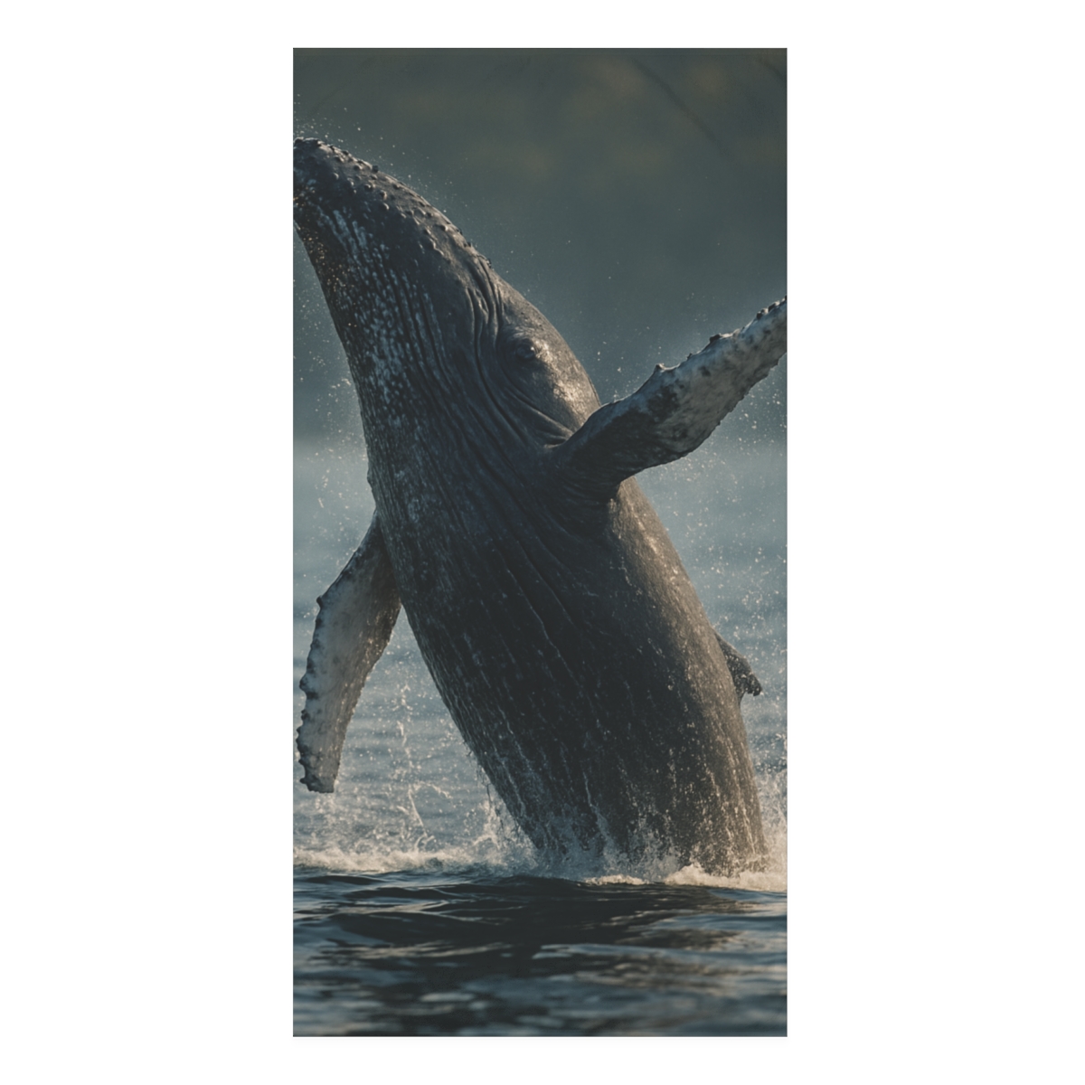 Ocean Song Humpback Whale designer printed towels