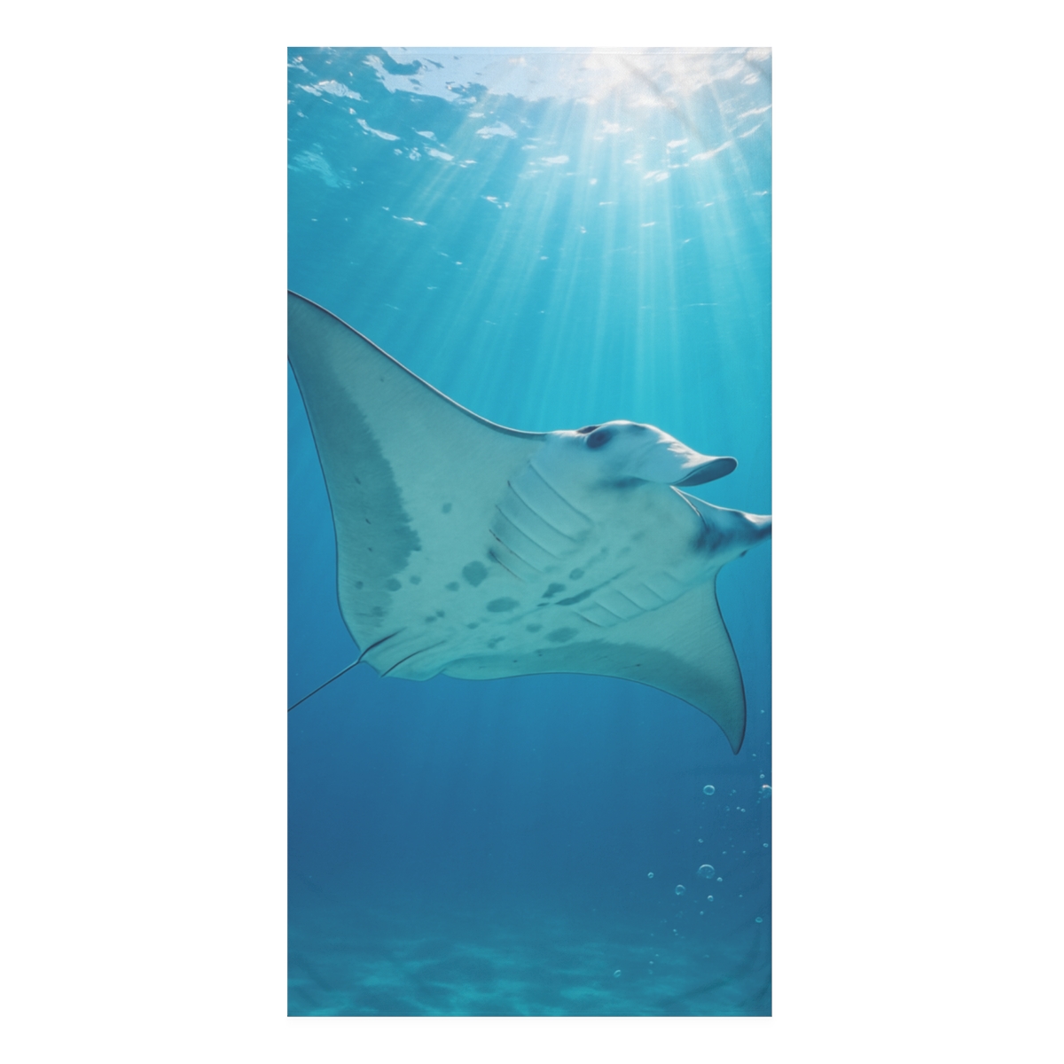 Ocean Wanderer Manta Ray stylish beach towels