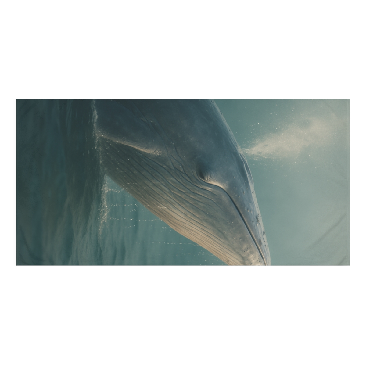Ocean Whisper Blue Whale custom towels