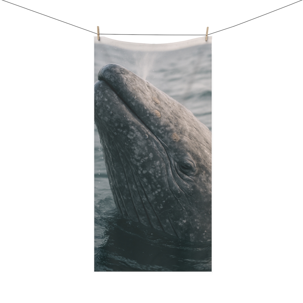 Ocean Whisper Gray Whale unique gift towels