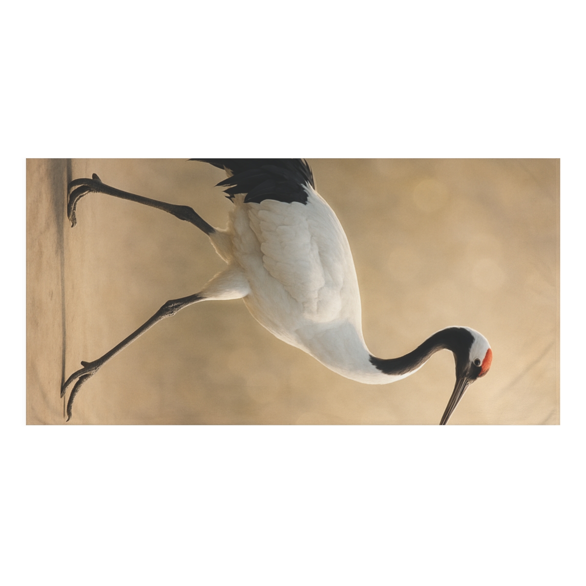 Orbit Poise Red Crowned Crane stylish beach towels