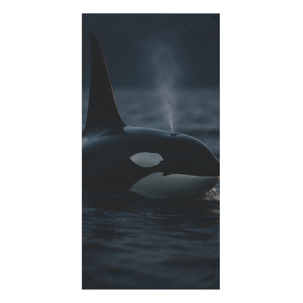 Orca Midnight Surge stylish beach towels