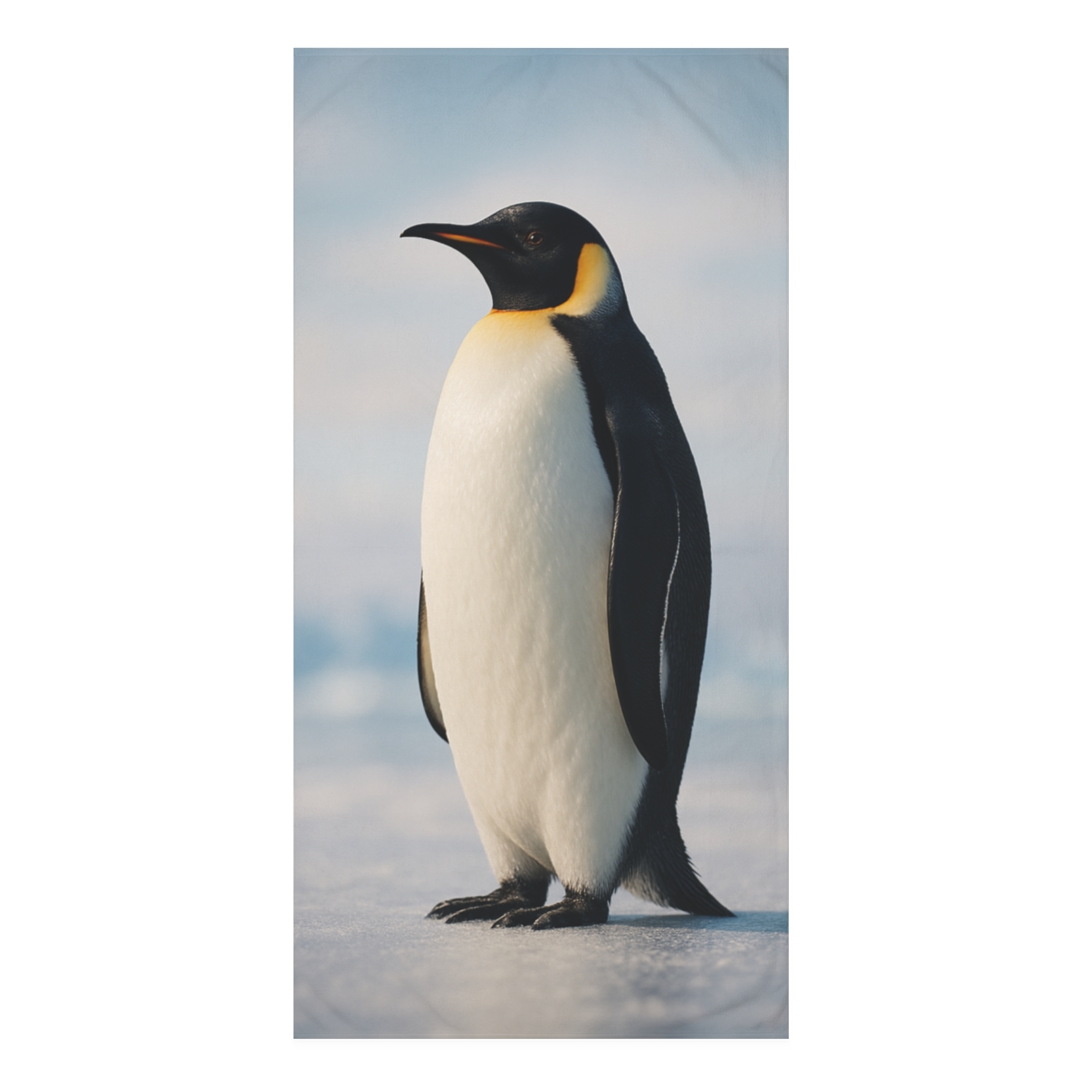 Polar Dawn Emperor Penguin personalized bath towels