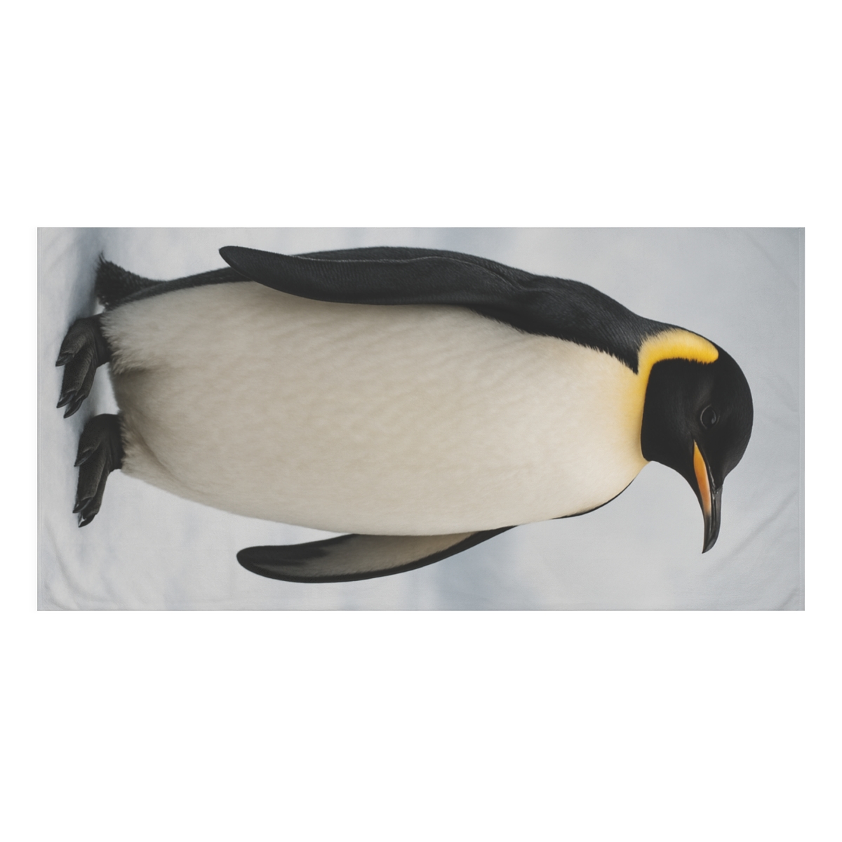 Polar Halo Emperor Penguin comfortable face towels