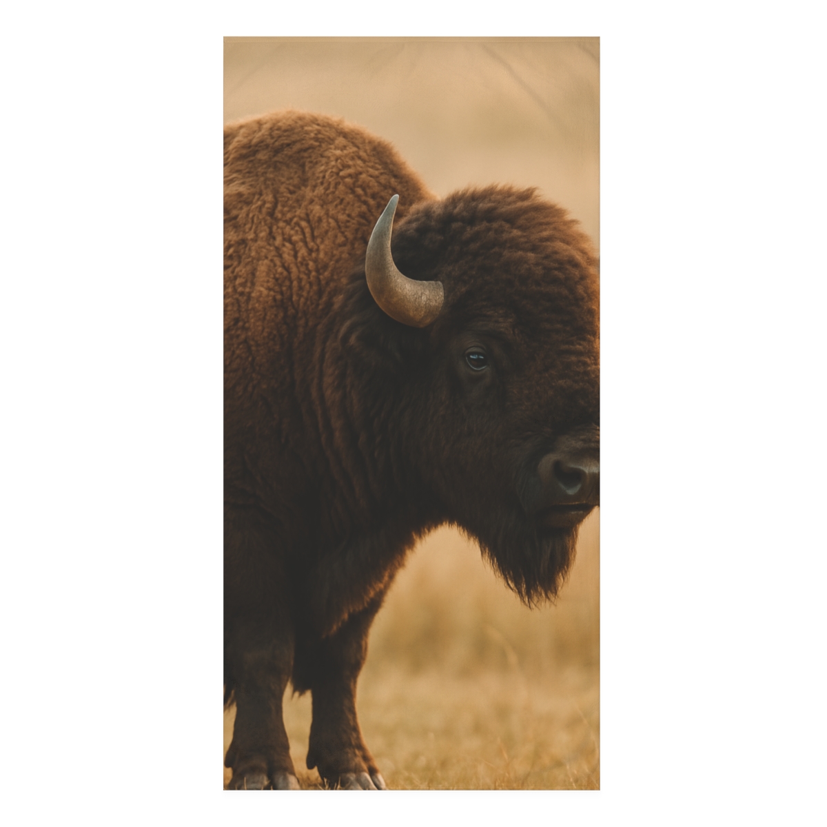 Prairie Thunder Bison decorative home towels