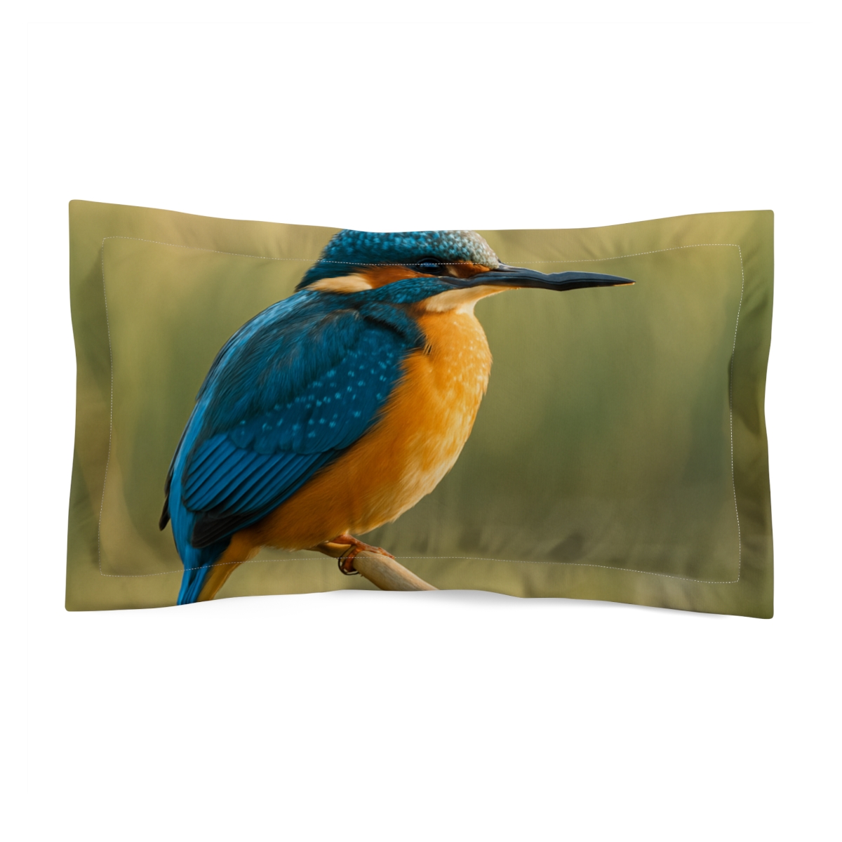 Prism Darter Common Kingfisher soft plush pillows