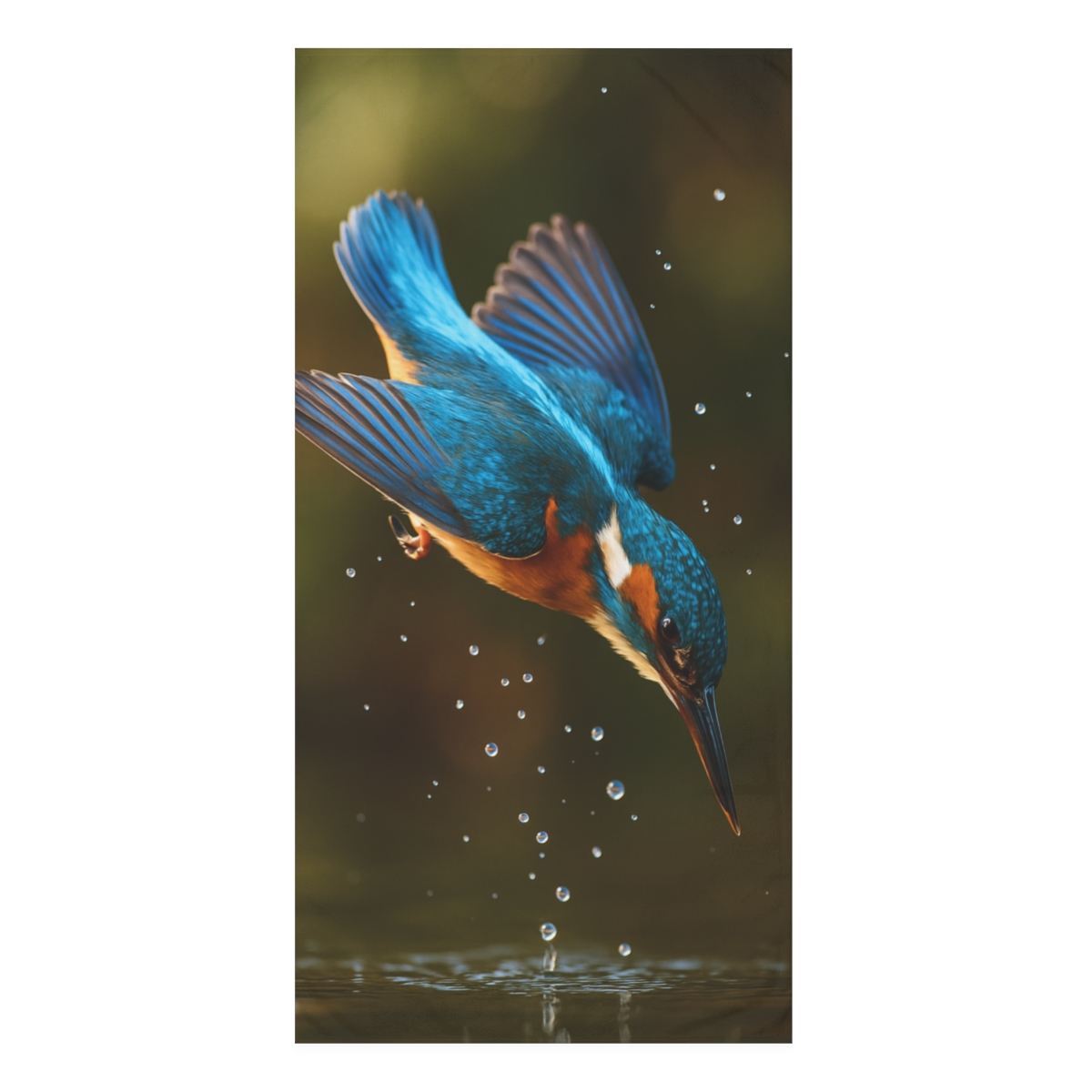 Prism Dive Common Kingfisher designer printed towels