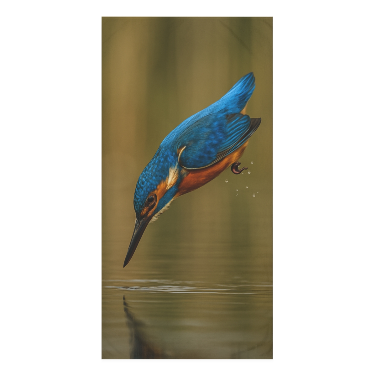 Prism Dive Common Kingfisher comfortable face towels