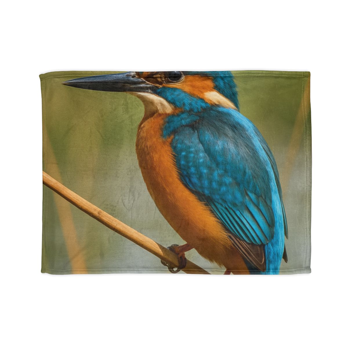 Prism Flash Common Kingfisher warm winter blankets
