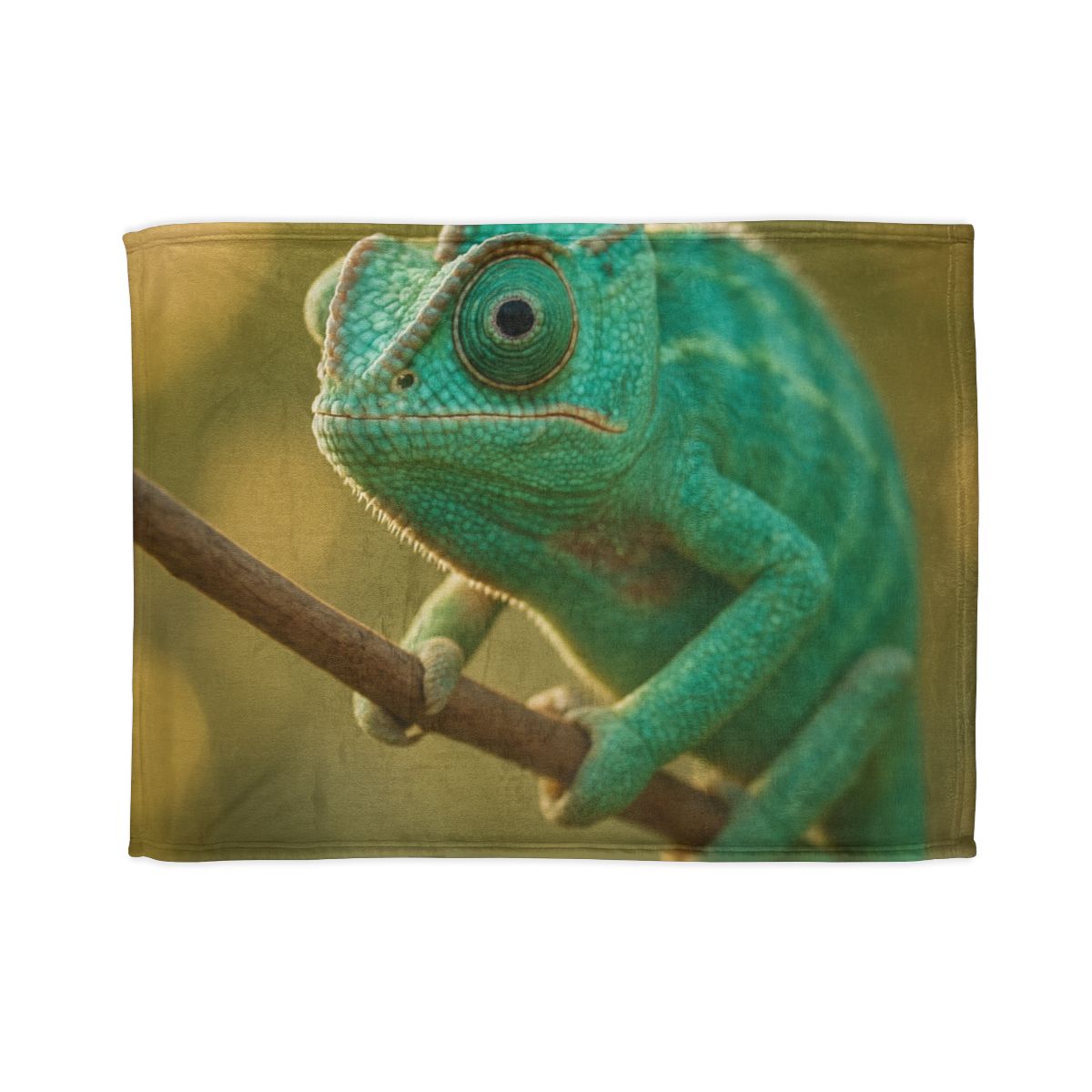 Prism Gaze Veiled Chameleon trendy patterned blankets